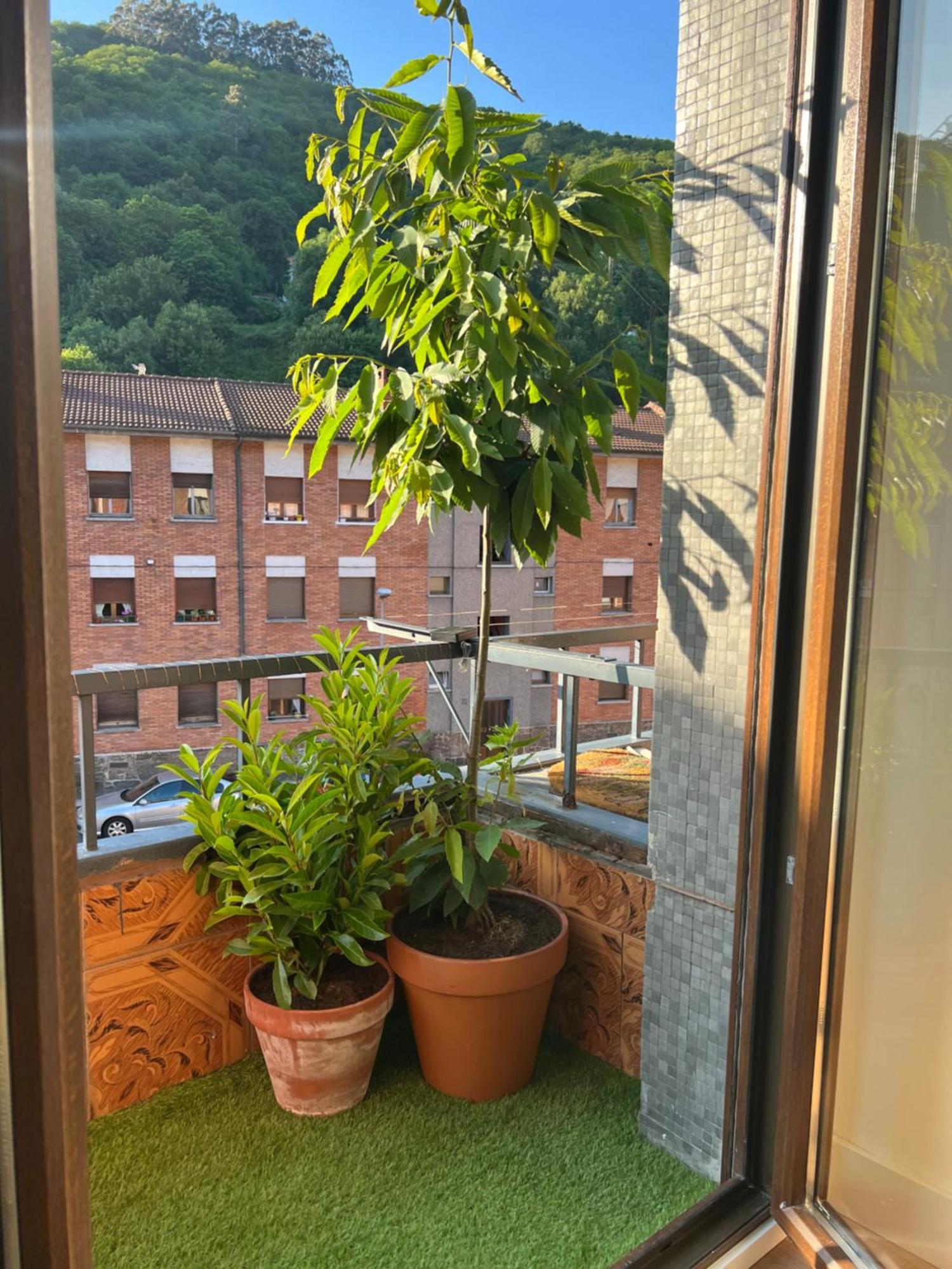 Mountain View Apartment Мьерес Экстерьер фото